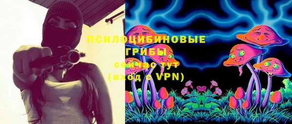 гашик Няндома